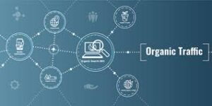 How to Get Organic Traffic